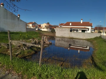 Terreno para Venda em Lardosa