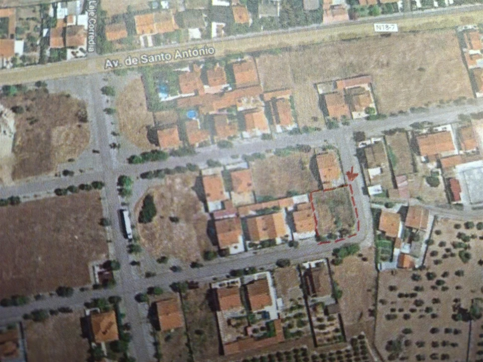 Terreno para Venda em Lardosa Foto 32