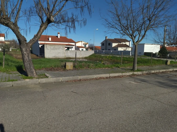 Terreno para Venda em Lardosa Foto 4