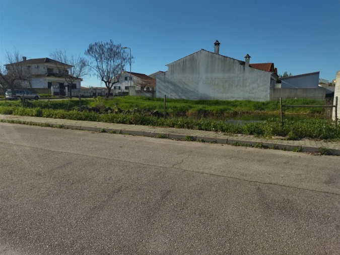Terreno para Venda em Lardosa Foto 9