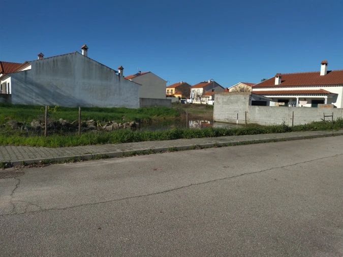 Terreno para Venda em Lardosa Foto 23