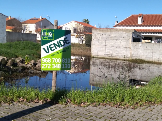 Terreno para Venda em Lardosa Foto 29
