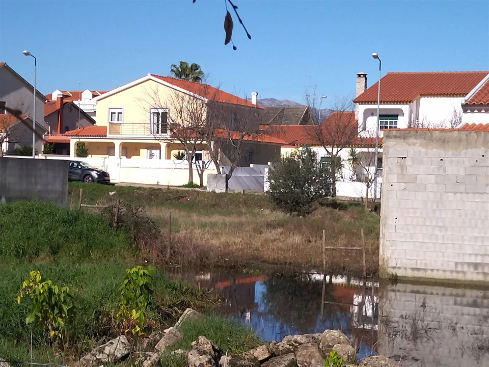 Terreno para Venda em Lardosa Foto 11