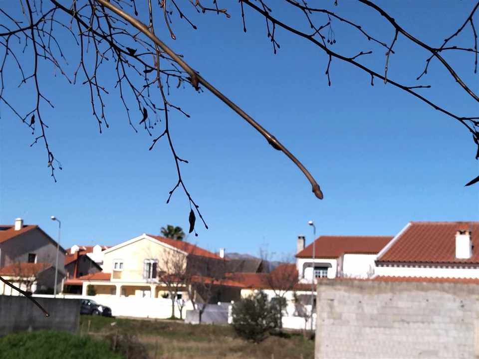 Terreno para Venda em Lardosa Foto 27