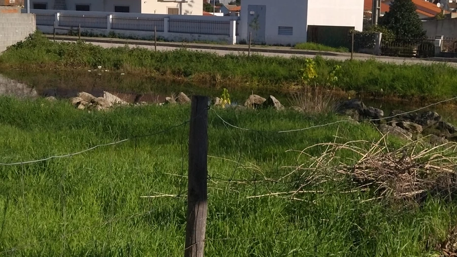 Terreno para Venda em Lardosa
