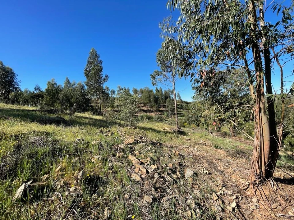 Quinta T1 para Venda em Escalos de Baixo e Mata Foto 77