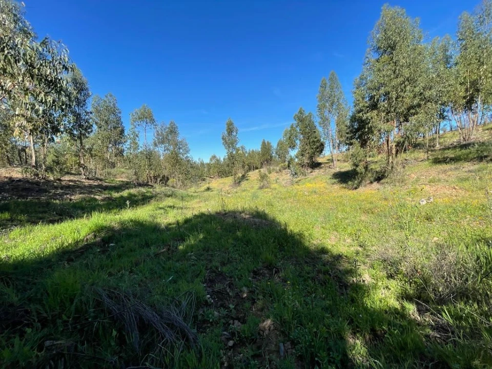 Quinta T1 para Venda em Escalos de Baixo e Mata Foto 40