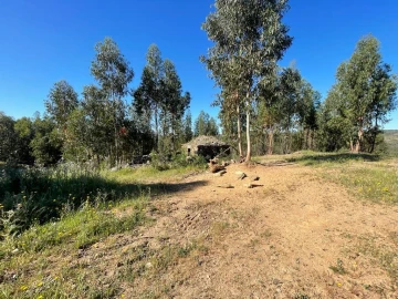 Quinta T1 para Venda em Escalos de Baixo e Mata