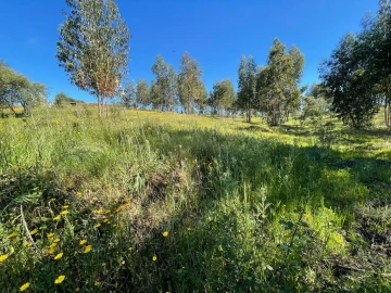 Quinta T1 para Venda em Escalos de Baixo e Mata