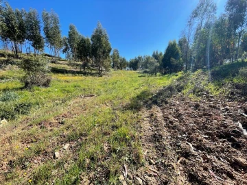 Quinta T1 para Venda em Escalos de Baixo e Mata