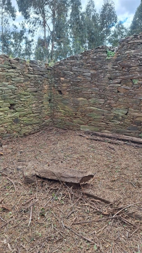 Quinta T1 para Venda em Escalos de Baixo e Mata