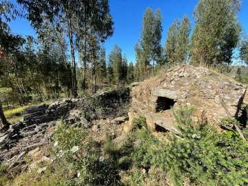 Quinta T1 para Venda em Escalos de Baixo e Mata