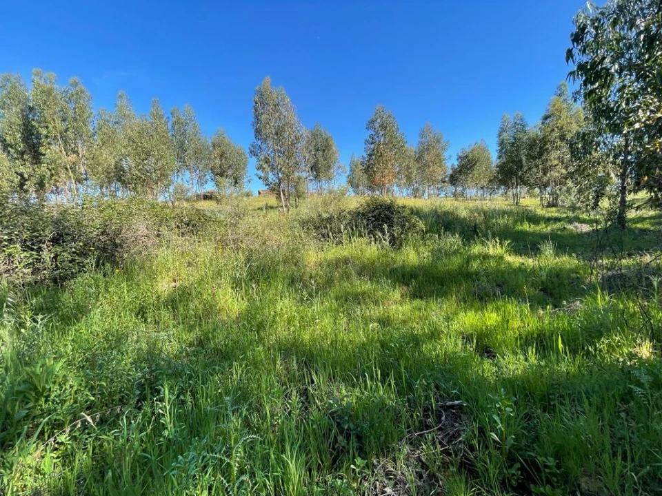 Quinta T1 para Venda em Escalos de Baixo e Mata Foto 36