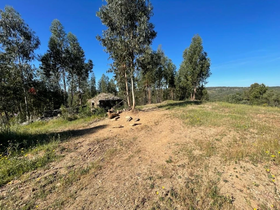 Quinta T1 para Venda em Escalos de Baixo e Mata Foto 88