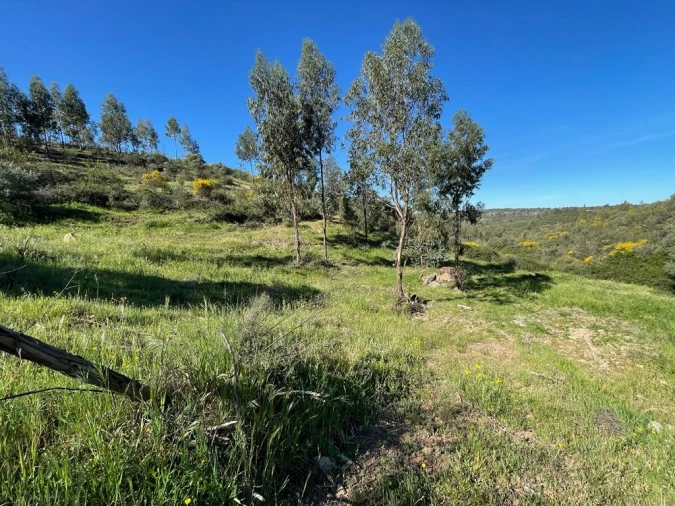 Quinta T1 para Venda em Escalos de Baixo e Mata Foto 71