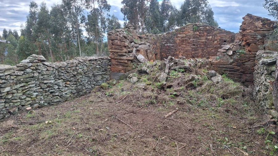 Quinta T1 para Venda em Escalos de Baixo e Mata Foto 121