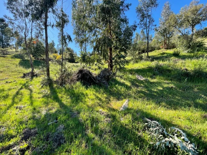 Quinta T1 para Venda em Escalos de Baixo e Mata Foto 68