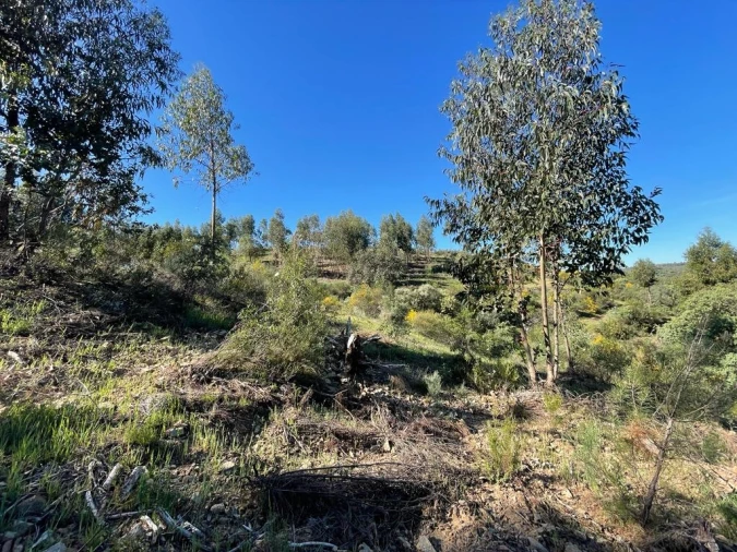 Quinta T1 para Venda em Escalos de Baixo e Mata Foto 74