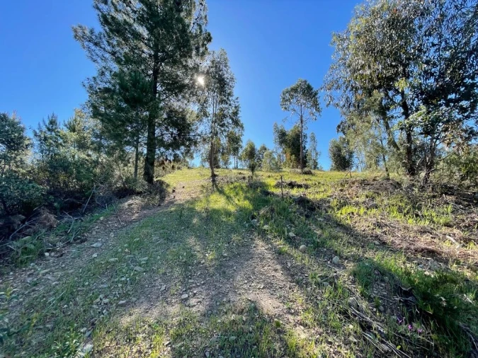 Quinta T1 para Venda em Escalos de Baixo e Mata Foto 6