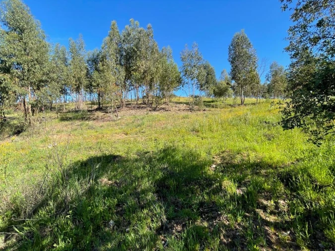 Quinta T1 para Venda em Escalos de Baixo e Mata Foto 39