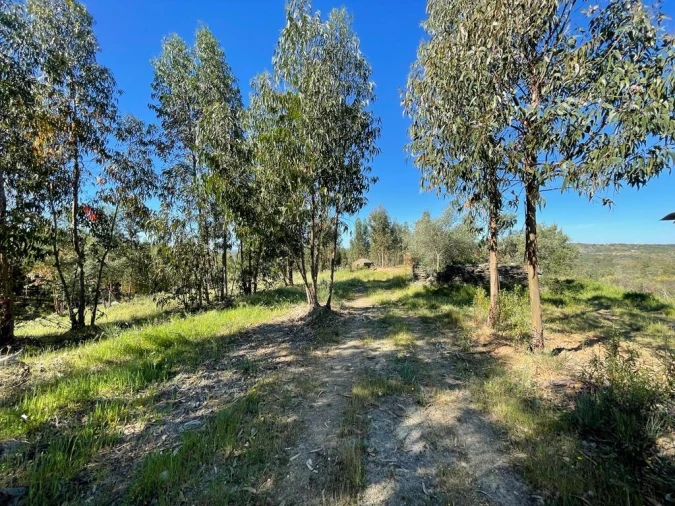 Quinta T1 para Venda em Escalos de Baixo e Mata Foto 43