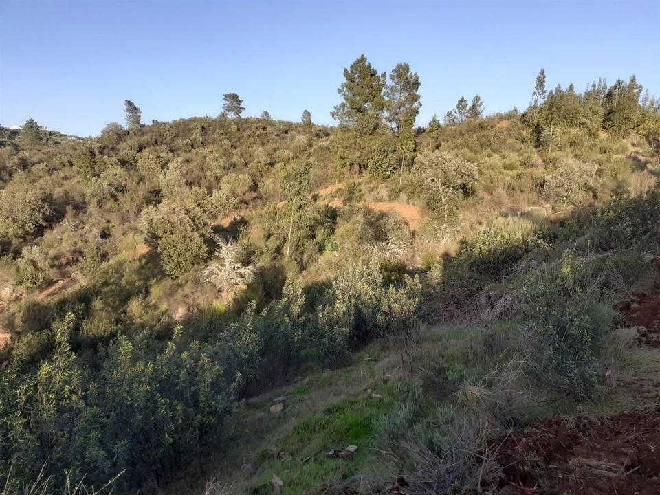 Quinta T1 para Venda em Escalos de Baixo e Mata Foto 111