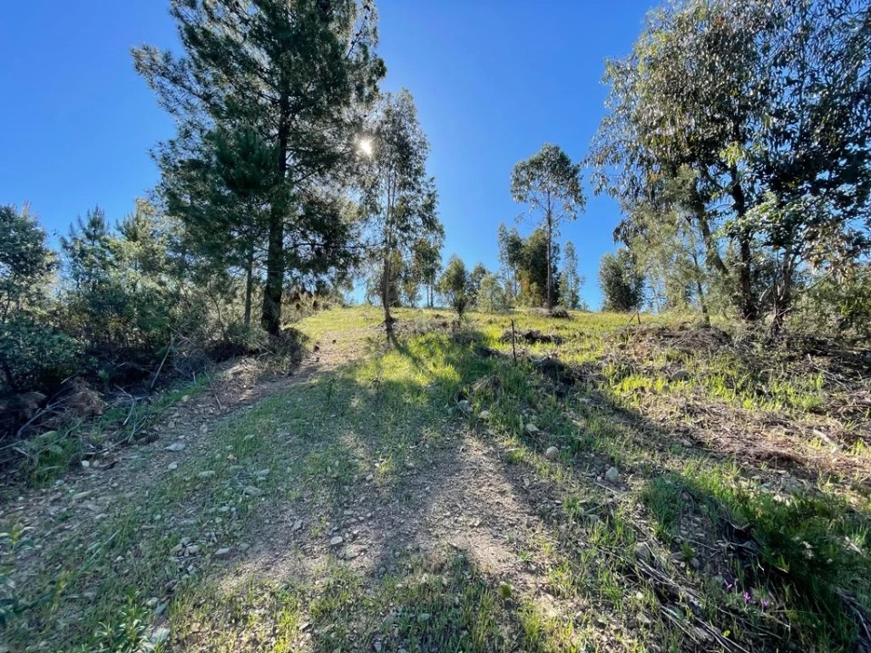 Quinta T1 para Venda em Escalos de Baixo e Mata Foto 6