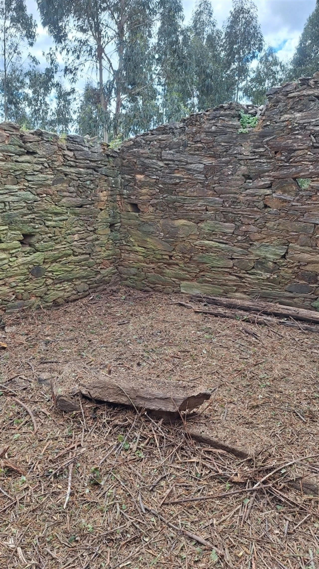 Quinta T1 para Venda em Escalos de Baixo e Mata Foto 135
