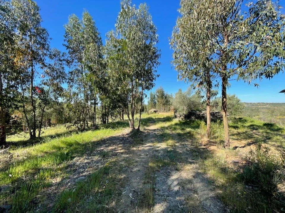 Quinta T1 para Venda em Escalos de Baixo e Mata Foto 43