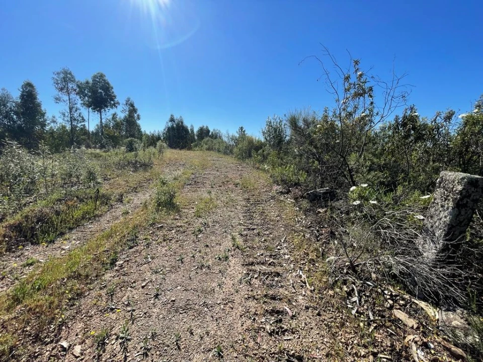Quinta T1 para Venda em Escalos de Baixo e Mata Foto 61