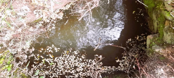 Terreno Agricola ou Rústico para Venda em Ninho do Açor e Sobral do Campo