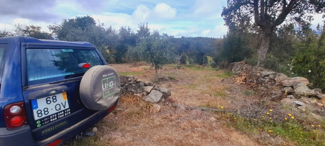 Terreno Agricola ou Rústico para Venda em Ninho do Açor e Sobral do Campo Foto 16