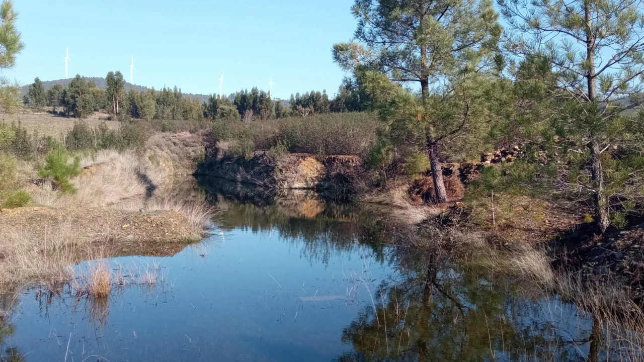 Terreno Agricola ou Rústico para Venda em Penamacor Foto 13