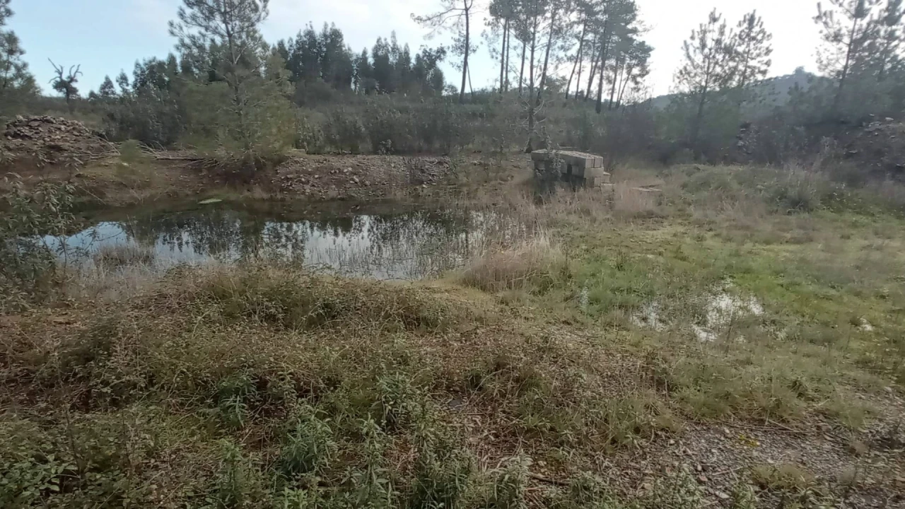 Terreno Agricola ou Rústico para Venda em Penamacor Foto 17