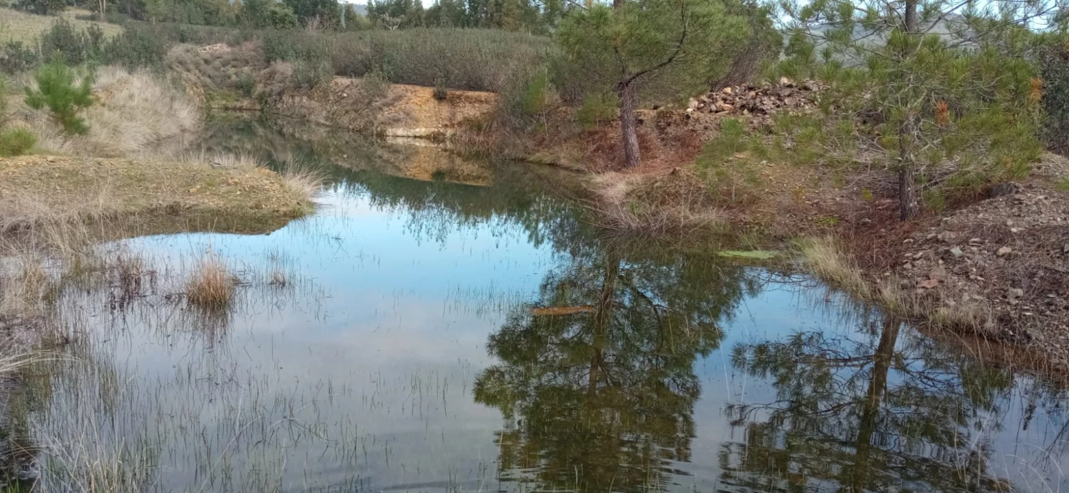 Terreno Agricola ou Rústico para Venda em Penamacor Foto 1