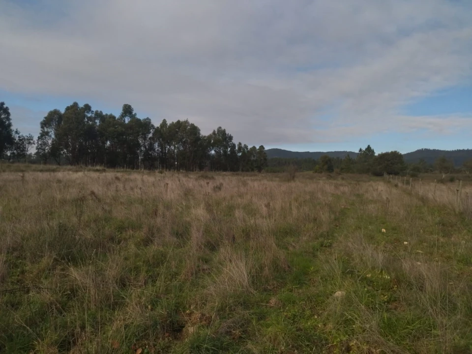Terreno Agricola ou Rústico para Venda em Penamacor Foto 10