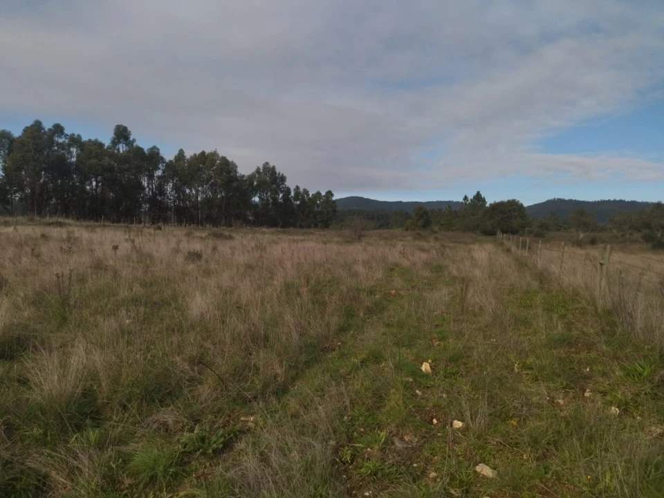 Terreno Agricola ou Rústico para Venda em Penamacor Foto 7