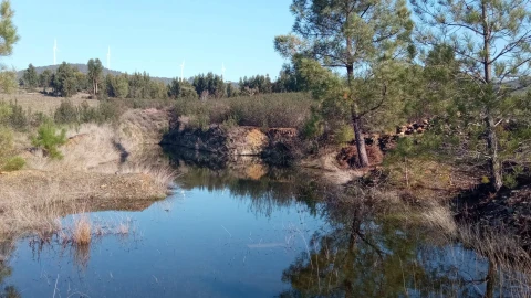 Terreno Agricola ou Rústico para Venda em Penamacor