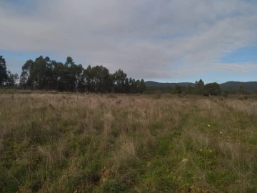 Terreno Agricola ou Rústico para Venda em Penamacor