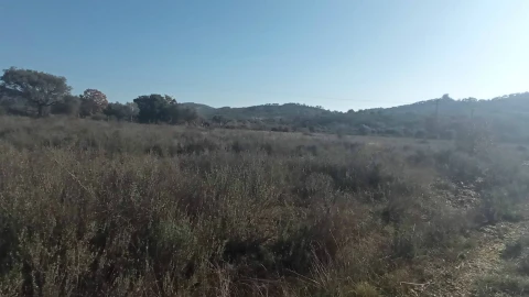 Terreno Agricola ou Rústico para Venda em Penamacor