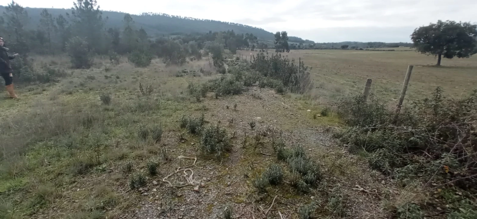 Terreno Agricola ou Rústico para Venda em Penamacor Foto 2