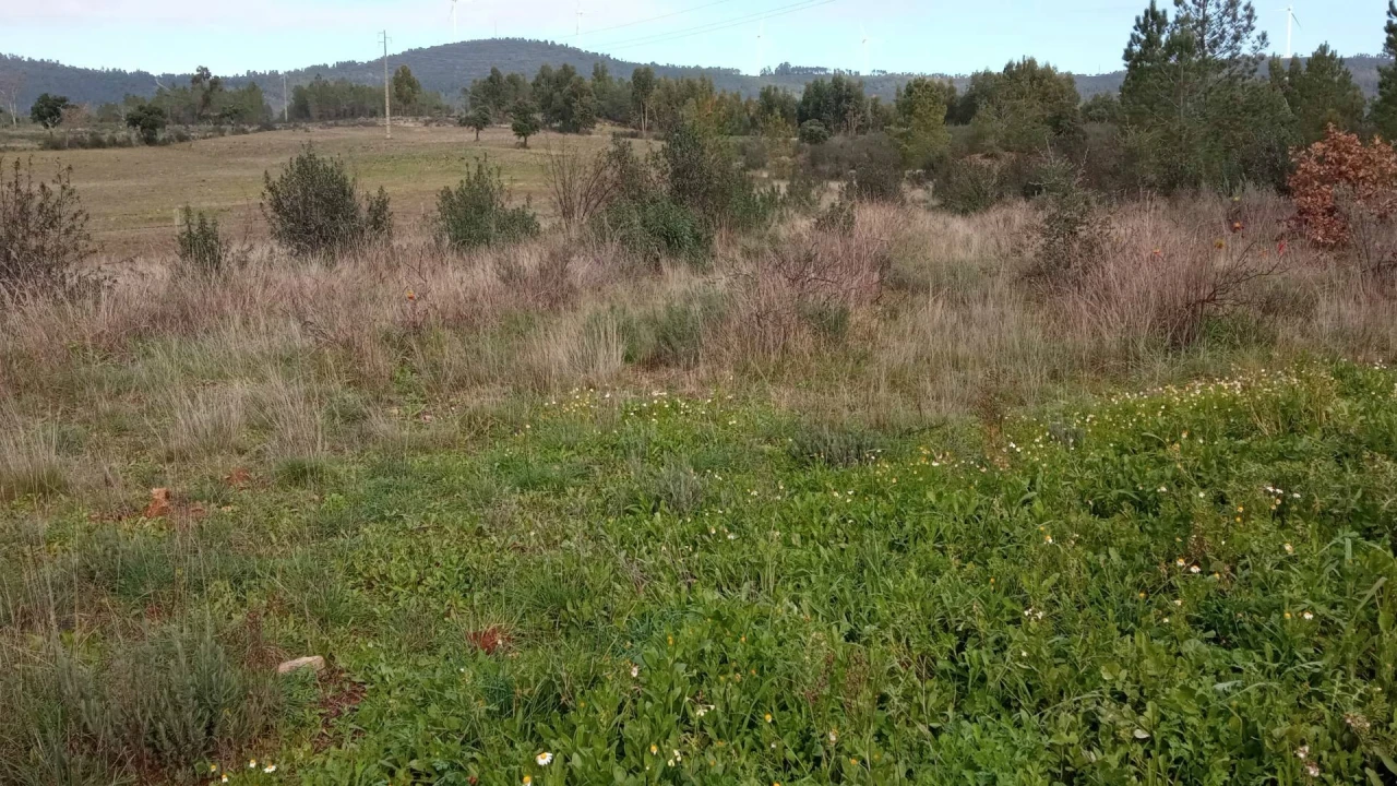 Terreno Agricola ou Rústico para Venda em Penamacor Foto 16