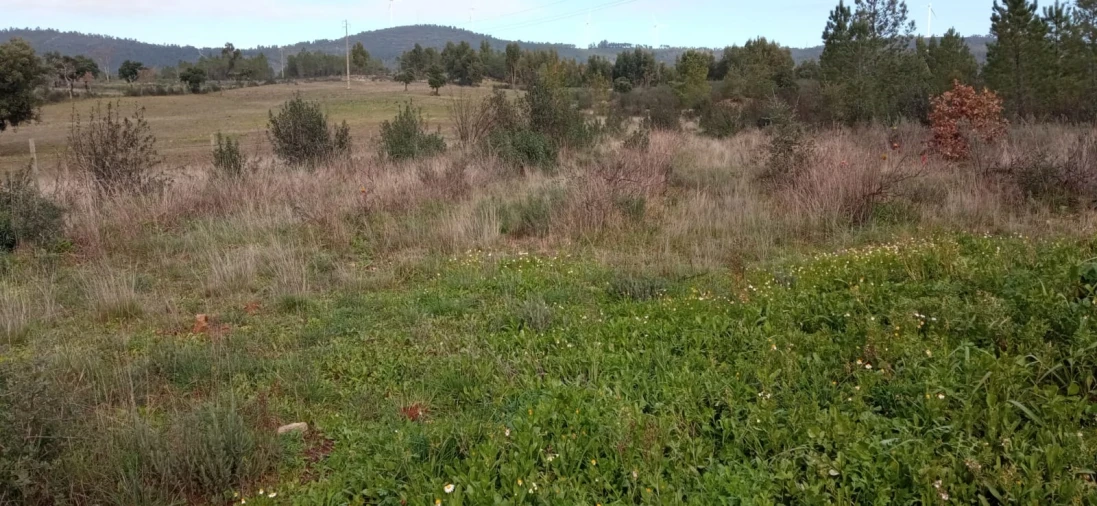 Terreno Agricola ou Rústico para Venda em Penamacor Foto 3