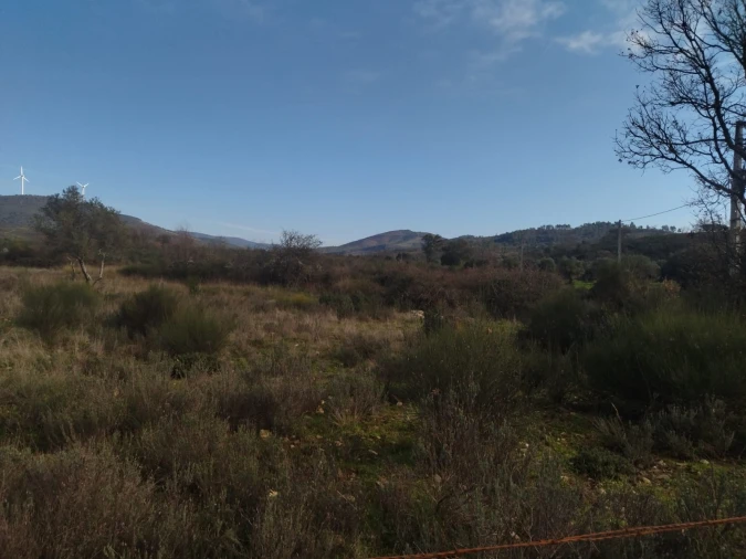 Terreno Agricola ou Rústico para Venda em Penamacor Foto 8