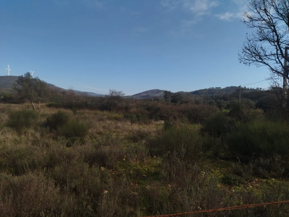Terreno Agricola ou Rústico para Venda em Penamacor Foto 8