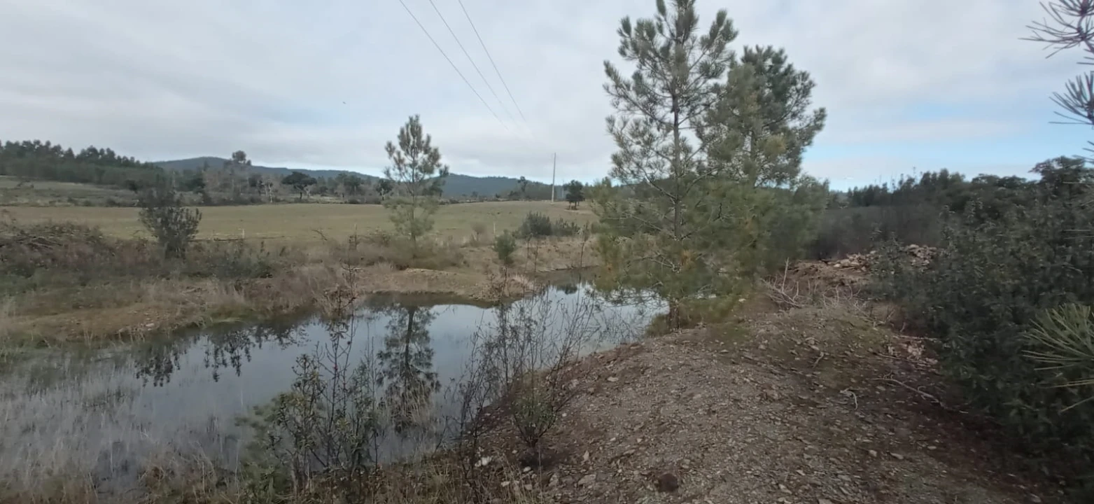 Terreno Agricola ou Rústico para Venda em Penamacor Foto 11