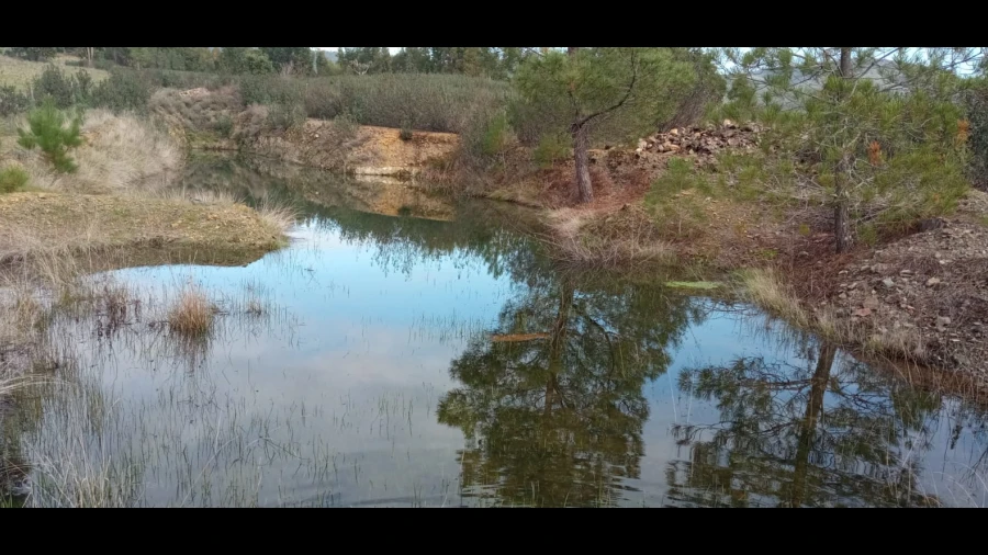 Terreno Agricola ou Rústico para Venda em Penamacor