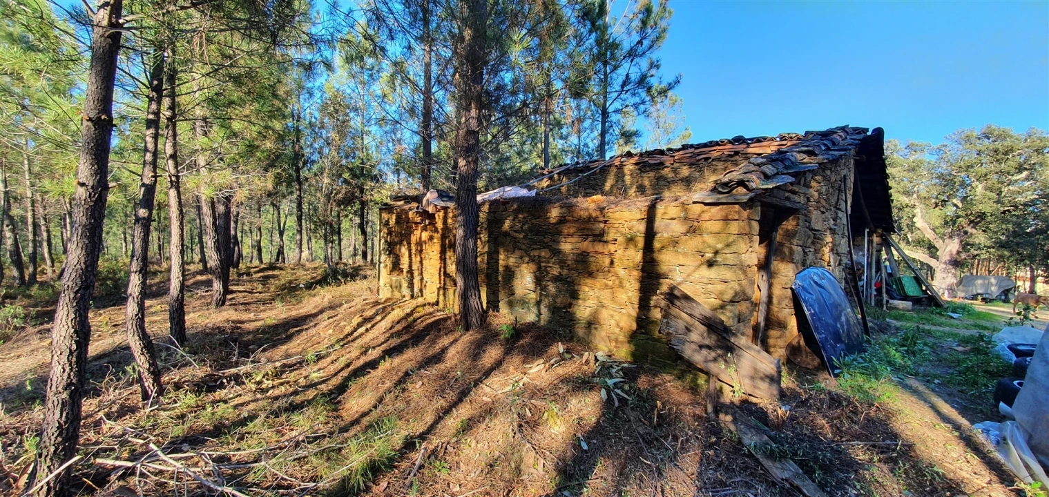 Quinta T0 para Venda em Sarzedas Foto 1
