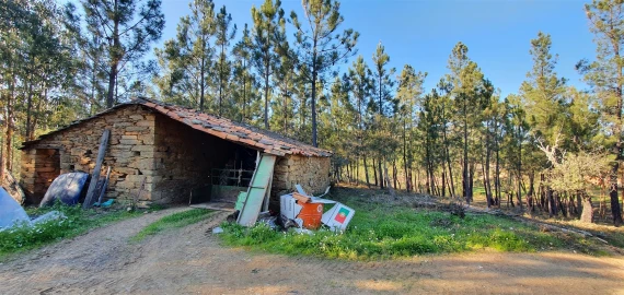 Quinta T0 para Venda em Sarzedas