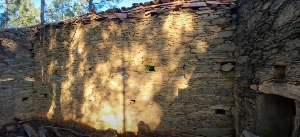 Quinta T0 para Venda em Sarzedas
